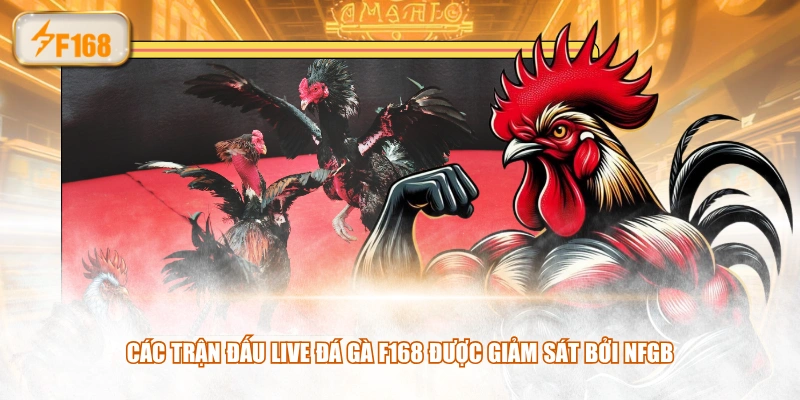 Các trận đấu live Đá Gà F168 được giảm sát bởi NFGB